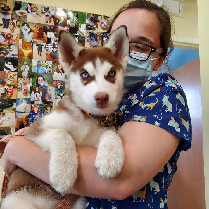 Veterinarian Appreciation COVID19 Essential Workers